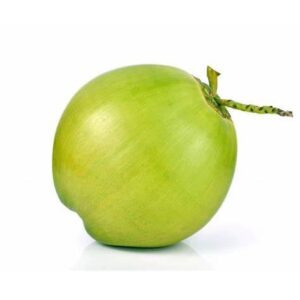 Coco verde Inatura
